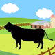 Paradero ranch