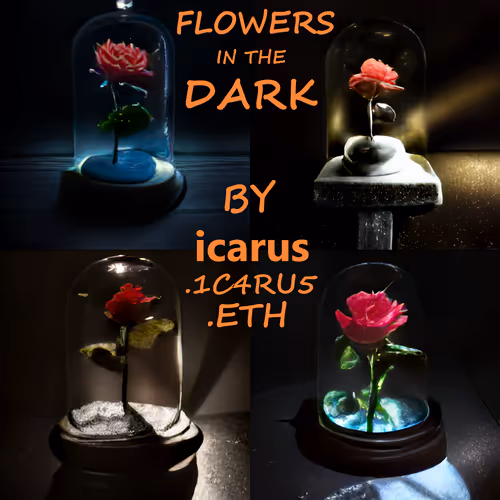 Flowers in the Dark