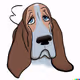 Sad Dog (Basset Hound)