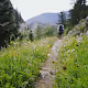 MountainCollection