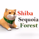 Shiba Sequoia Forest Lads