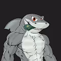NN Shark Club