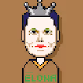 Elona Musk Test Collection V2 - old