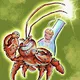 HERMIT CRAB NEON !