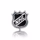 NHL_Team!