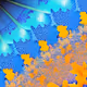 fractal mandelbrot paddern