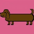 Dachshund Lover