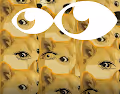 Dreams of Doge