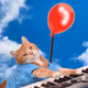 Keyboard Cat!