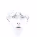 Humanglyphs