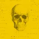 SKULL BLOCKS X REMO