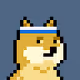 Dank Doge Club