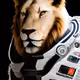 AstronautAnimals