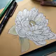 AmingoDrawing