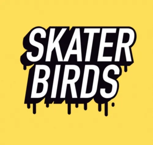 SkaterBirds: Skatepark