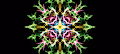 Haotic experimental art