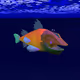 AINightfishes