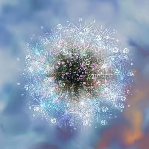 Magic dandelions