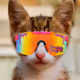 Bang Bang Cat Krewe