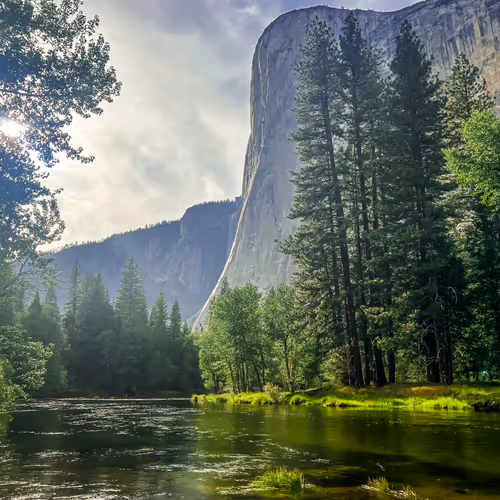 Touching Grass - JC Editions