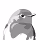 UK Garden Birds