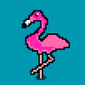 Nifty Flamingo