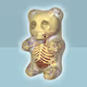 Gummi Anatomy