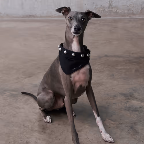 CHARLES & KEITH Holidays 2023