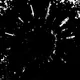 XThe Shadow OrderX