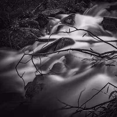 BLURRED by Donna Martinez