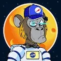 Apes Of Space
