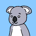 Crew Koala - old