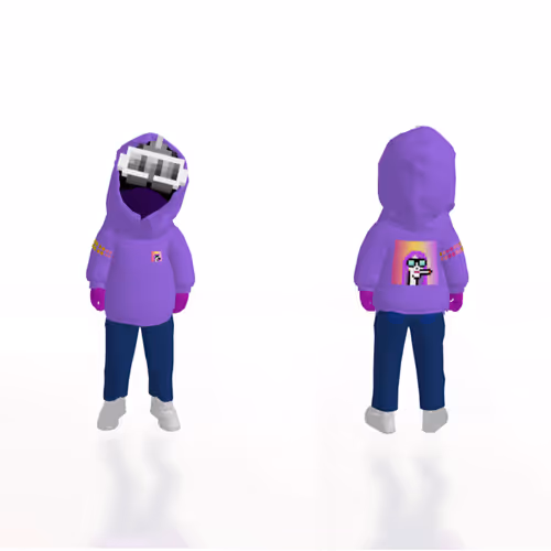 PALADIN PUNKS VISION