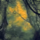 The Haunted Forest of Oopy Doop