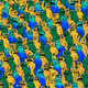 Crowded Pepe