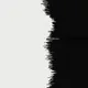 Black/White Line