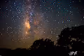 Heavenly Night