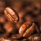 Daikanyama Roastery