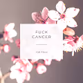 Fran's Flowers