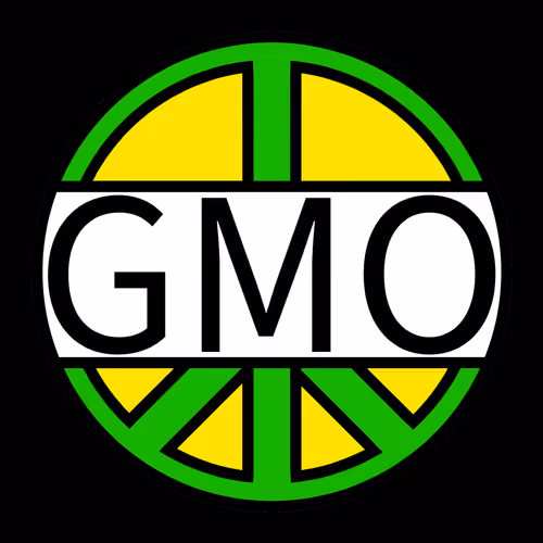 GMO NFT