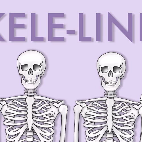 2 Skele-Links floor 0.000899