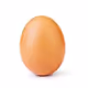 JustAnEgg.