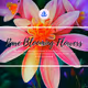 Rare NFTs Special Collection 2 - Rare Blooming Flowers