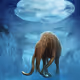meander