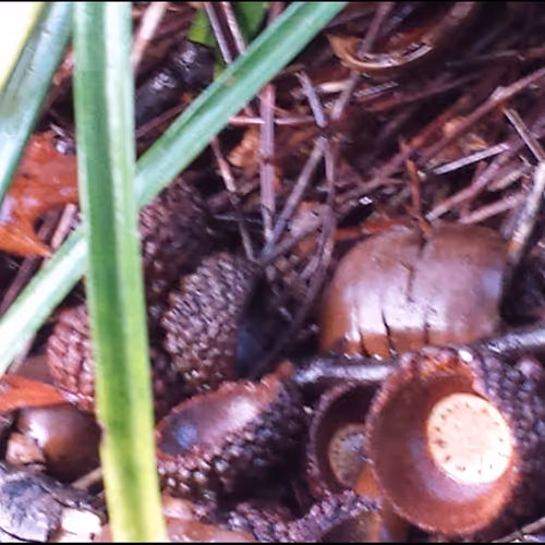 cement & climate change