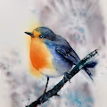 My watercolor birds