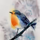 My watercolor birds