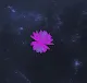 Verse Immersive: Aura Lotus