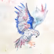 Regal Raptor Rescue Club