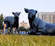 dancecow